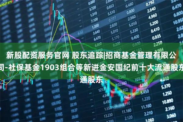 新股配资服务官网 股东追踪|招商基金管理有限公司-社保基金1903组合等新进金安国纪前十大流通股东