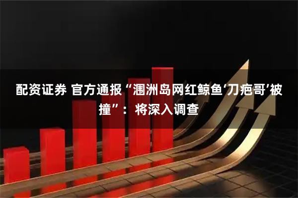 配资证券 官方通报“涠洲岛网红鲸鱼‘刀疤哥’被撞”:将深入调查
